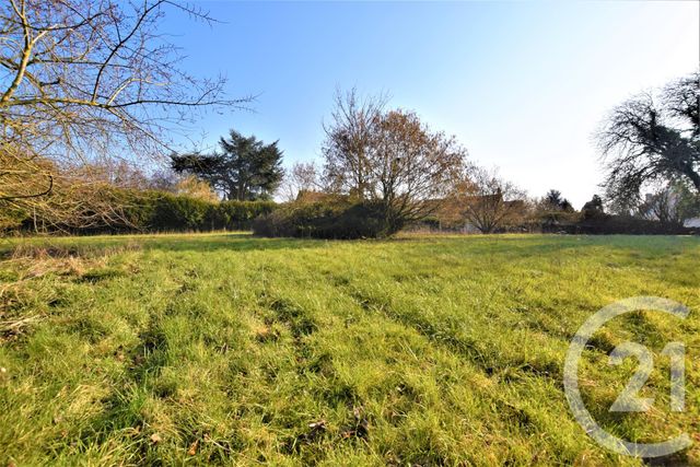 Afficher la photo en grand terrain à vendre - 926.0 m2 - CRESSONSACQ - 60 - PICARDIE - Century 21 Collin Immobilier